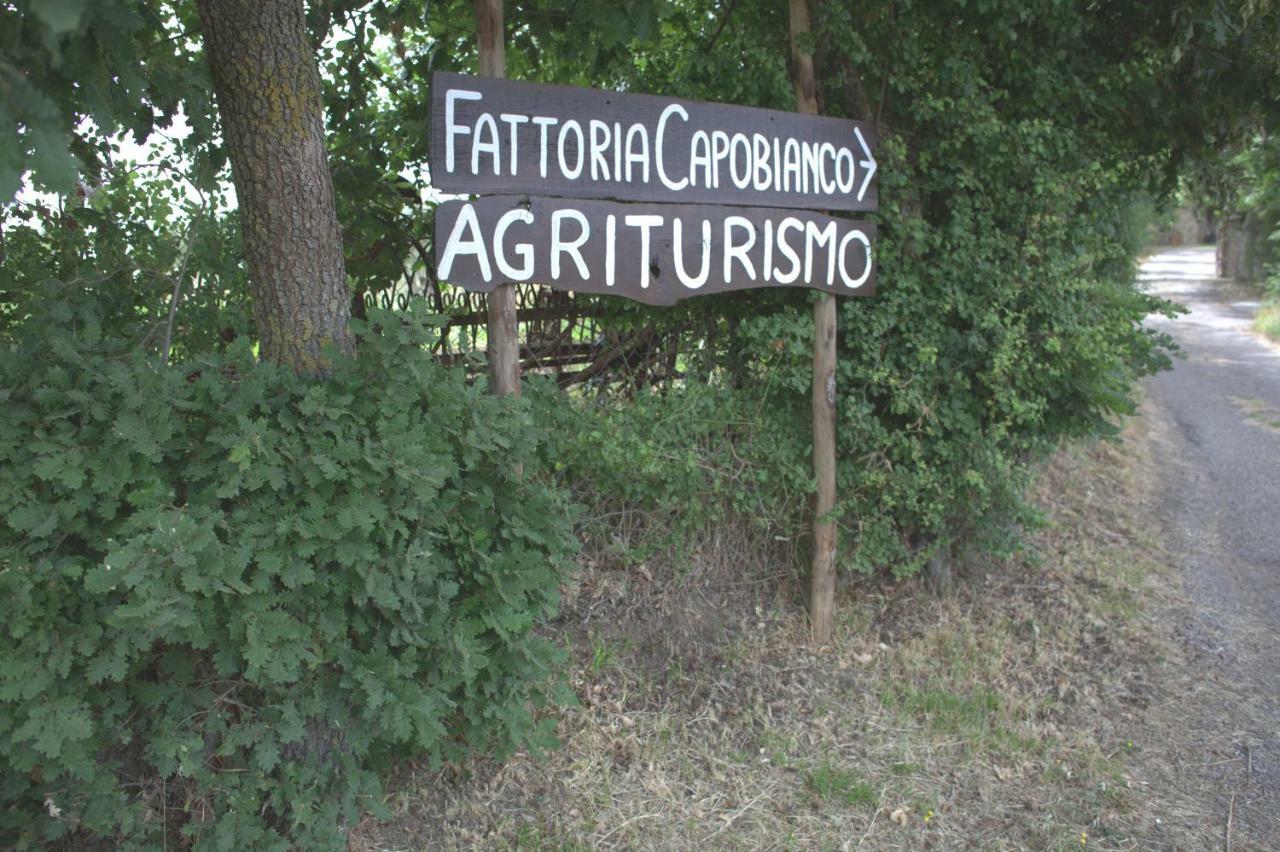 Fattoria Capobianco Villa Montefiascone Bagian luar foto