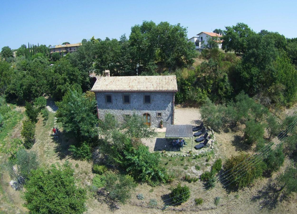 Fattoria Capobianco Villa Montefiascone Bagian luar foto