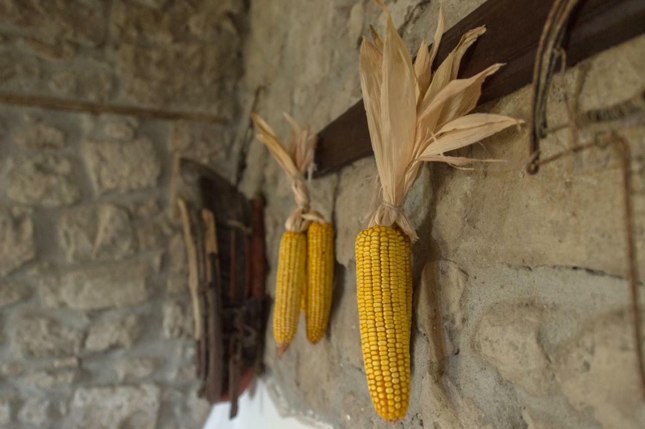 Fattoria Capobianco Villa Montefiascone Bagian luar foto