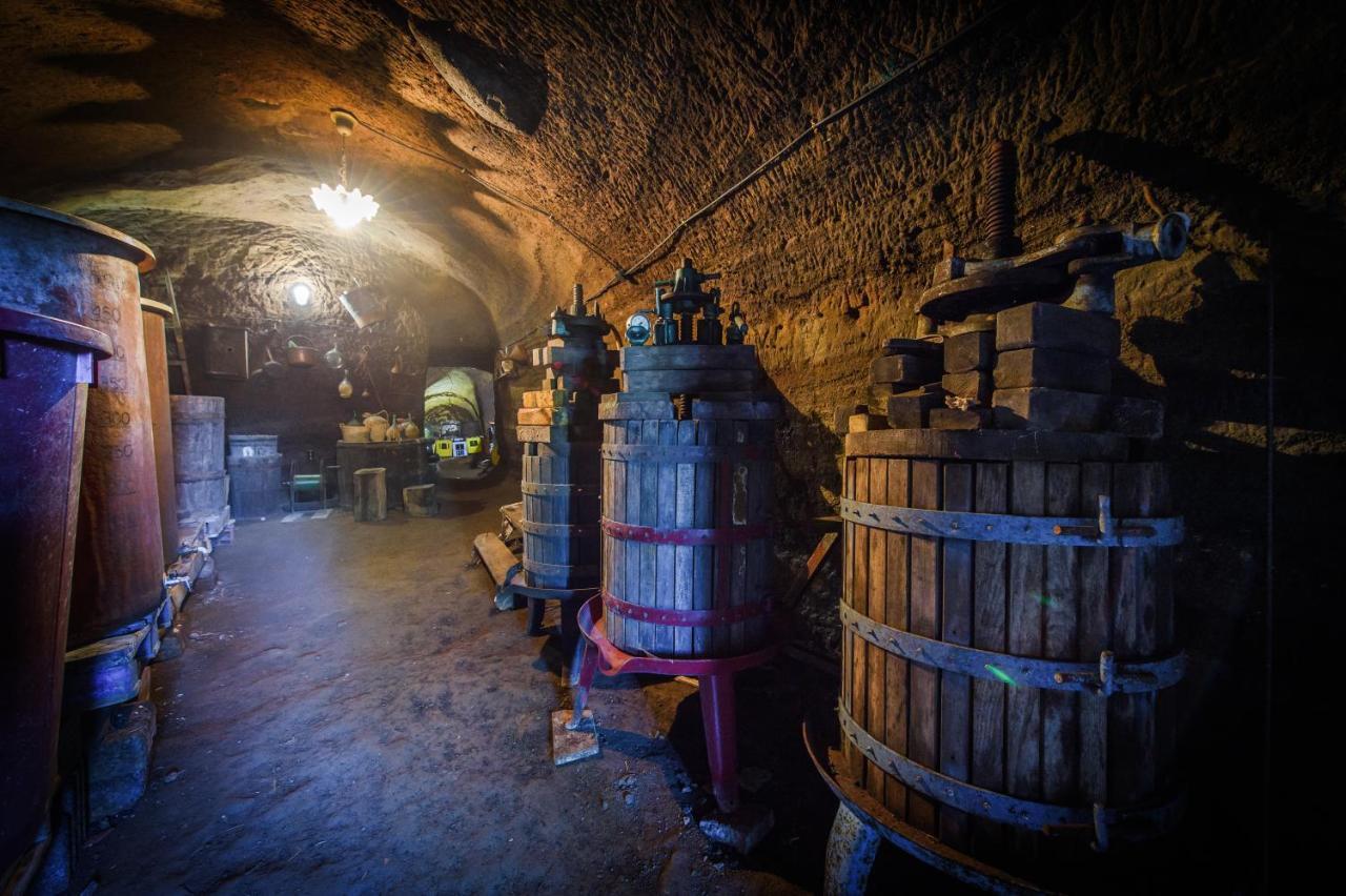 Fattoria Capobianco Villa Montefiascone Bagian luar foto