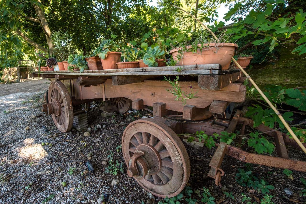 Fattoria Capobianco Villa Montefiascone Bagian luar foto